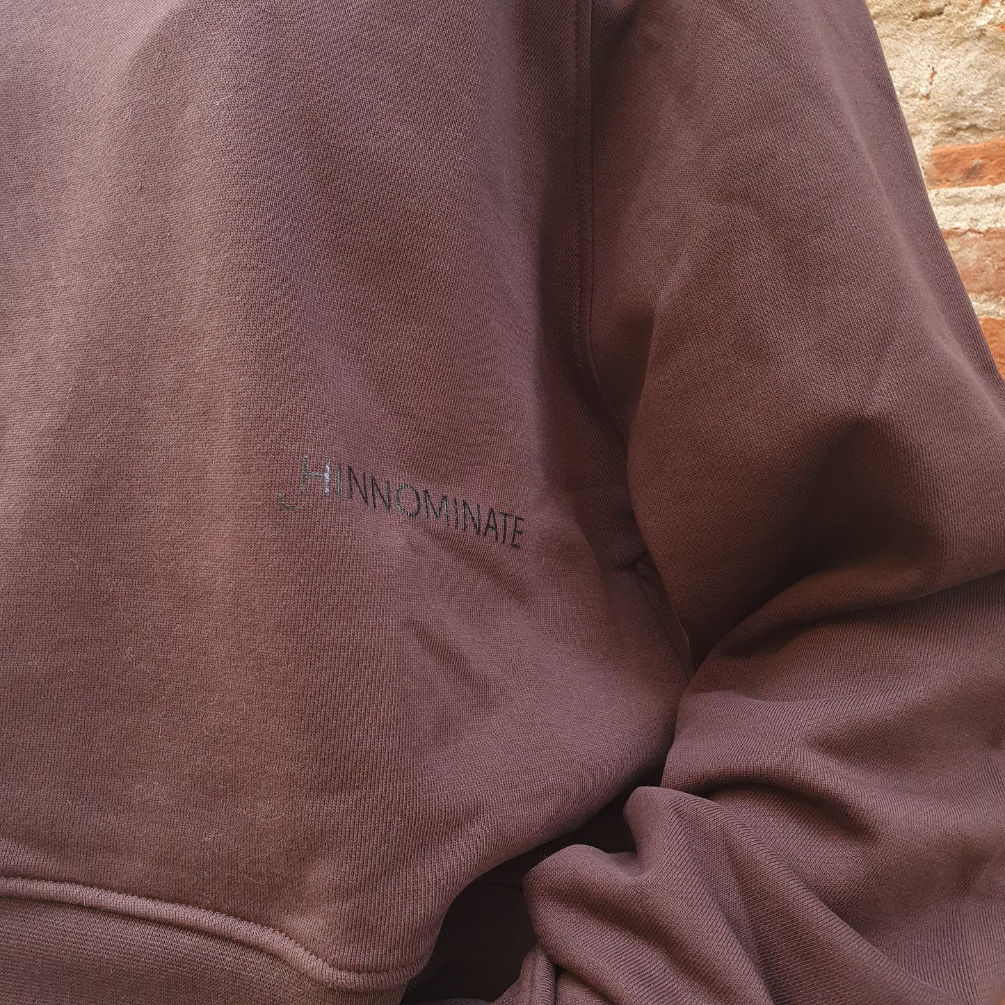 Felpa marrone con cappuccio Hinnominate e stampa color moro, perfetta per lo stile urbano a Fossano
